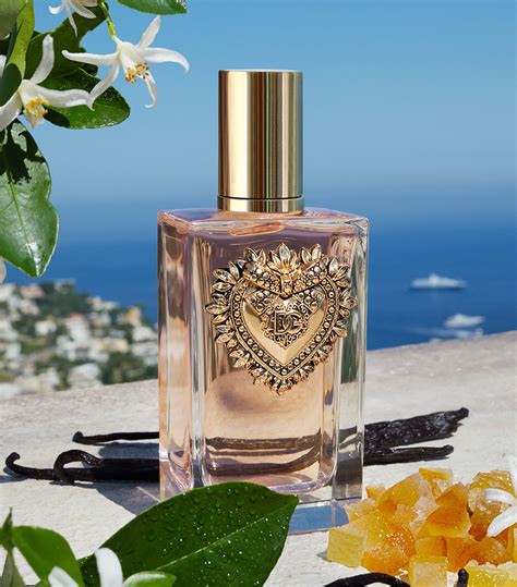 dolce gabbana devotion fragrance|dolce and gabbana devotion fragrantica.